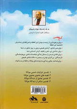 گنج حضور جلد سوم (تفسیر عشق از دیدگاه مولانا)